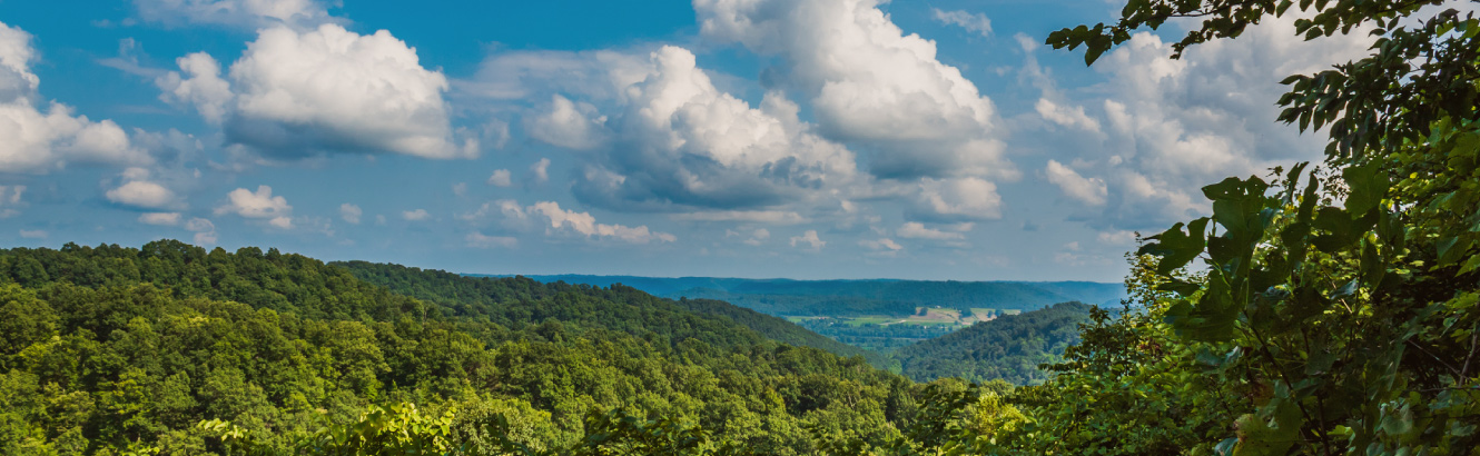 mountain and tree scenery 