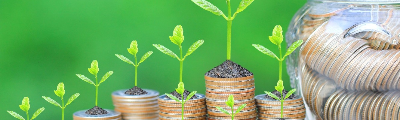 small plants growing on coins